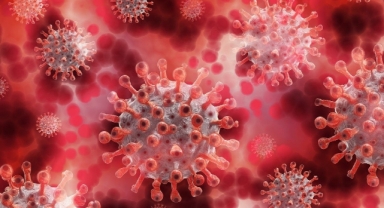 CHP'li Yücel, Eris'i Meclis'e taşıdı: 