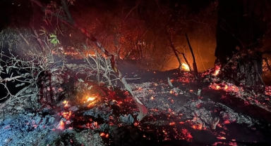 Doğancılar yangını kontrol altına alındı: 