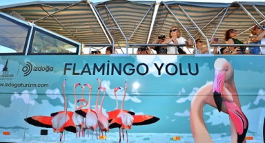 Doğaseverler Flamingo Festivali’nde buluşacak
