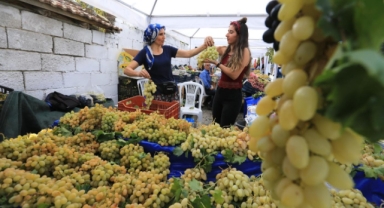 Efesliler Osmancık Üzüm Şenliği'nde buluşuyor 