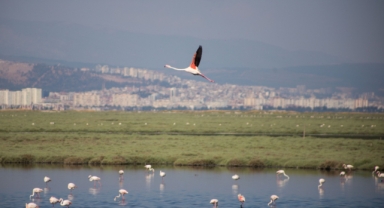 İzmir, Gediz Deltası projesiyle Ufuk Avrupa Programı’nı kazandı