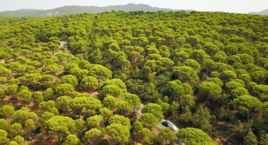 İzmir'in ormanlarına maden ocağı tehdidi: Kozak Yaylası'nda bir başvuru daha yapıldı! 