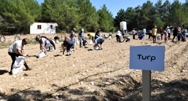 Kışlık sebze tohumları Bornova Belediyesi’nden