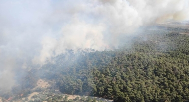 Foça'daki orman yangını kontrol altına alındı