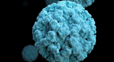 Uzmanlardan Eris varyantı uyarısı: 