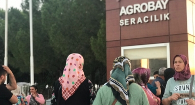 Agrobay'da işten atılan kadın işçiler: “Haklarımızı söke söke alacağız” 