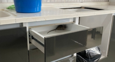 Bozuk asansör, yemek çalan personel, hijyenden uzak ortam… 