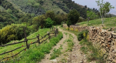 Efeler Yolu, En İyi 100 Hikâye listesinde