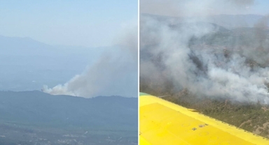 Havadan ve karadan müdahale ediliyor... Bayındır'da orman yangını