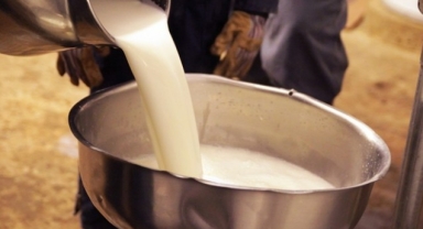 TÜİK duyurdu: İçme sütü üretimi bir yılda yüzde 7,9 azaldı