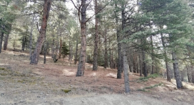 70 yıl önce halkın katılımıyla yapılmışı: AK Partili belediyeden “el insaf” dedirten karar 