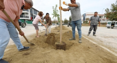 Başkan Ceritoğlu Sengel, çalışmaları yerinde inceledi 