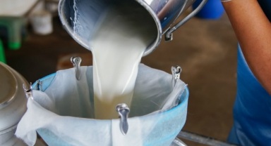 Çiğ süt de zamlardan nasibini aldı: Artış, raflara da yansıdı 