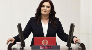 Dört aydır kayıp Veli Eren Atay için CHP'li Vekil Bakanlığa sordu: 