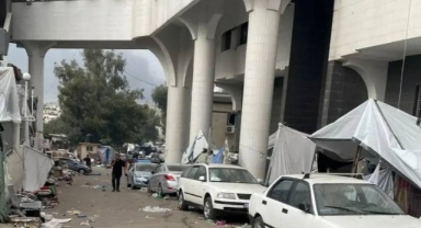 Dünya Sağlık Örgütü: 