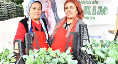 İzBB'den çiftçiye fide desteği: Çiftçi hem üretiyor hem kazanıyor