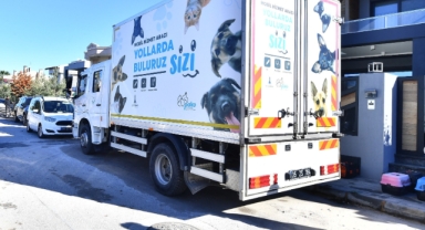 İzmir’de mobil araçla kısırlaştırma hizmeti sürüyor