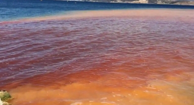 İzmir Körfezi kırmızıya bürünmüştü... İZSU'dan açıklama geldi!