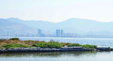 İZSU'dan 'Körfezdeki kirlilik' açıklaması: 