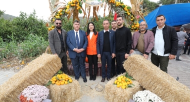 Mandalina Festivali Coşkuyla Gerçekleşti