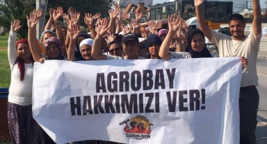 Teşvikler talana yaradı... Aliağa ve Bergama'da GES yapılmak isteniyor!