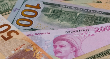 TL'nin değer kaybı sürüyor: Dolar 30'a dayandı 