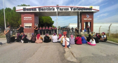 Agrobay işçileri 125 gündür direniyor: 