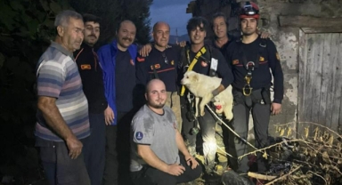 Bir aydır kayıp olan Pamuk’u İzmir İtfaiyesi sahibine kavuşturdu