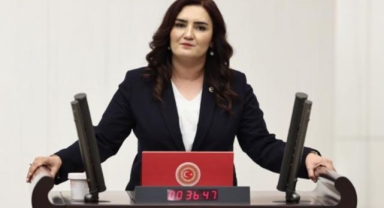 CHP İzmir Milletvekili Sevda Erdan Kılıç: 