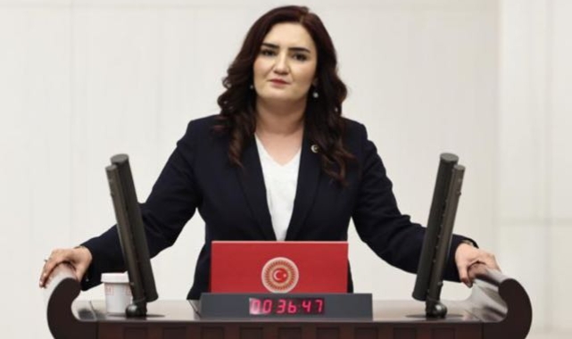 CHP İzmir Milletvekili Sevda Erdan Kılıç: