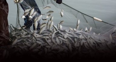 Egeli balıkçıların 11 aylık ihracatı 1 milyar doları aştı