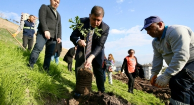 Karşıyaka’da ağaç varlığı hızla artmaya devam ediyor