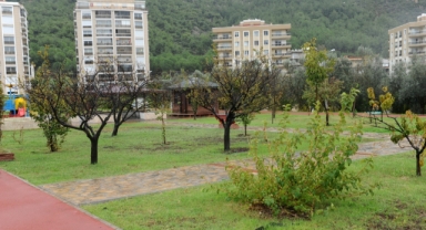  Karşıyaka meyve bahçeleriyle renkleniyor