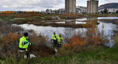 300 bin noktada sivrisinek mücadelesi 