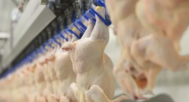 Beyaz et devleri inceleme altında