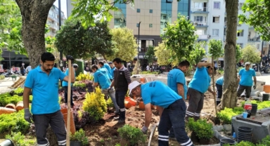 Bornova'da 5 yılda 13 bin ağaç dikildi