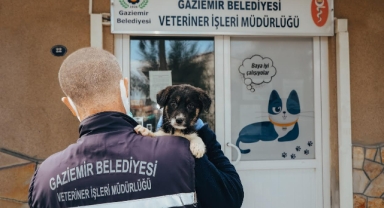 Gaziemir’de 27 bin 631 hayvana veteriner sağlık hizmeti