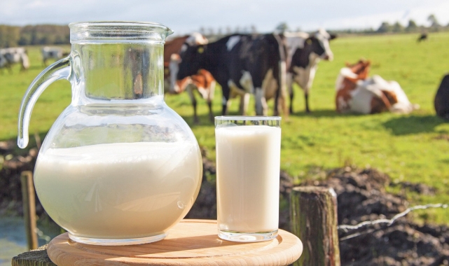 Ulusal Süt Konseyi duyurdu: Çiğ süt fiyatına zam