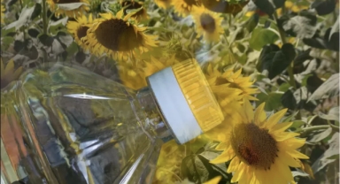 Zam kapıda: Ayçiçek yağına zam beklentisi