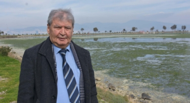 Çakalburnu Lagünü’nü deniz marulu kapladı: “Ekosistemi kurtarmamız gerekiyor”