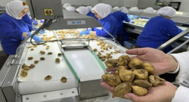 Organik ürün ihracatında büyük hedef: “Hedefimiz ihracatı 2 milyar dolara taşımak” 