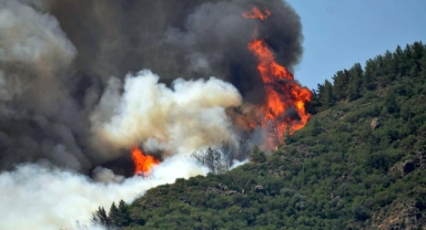 Orman yok oldu, yerine otel yapıldı! 