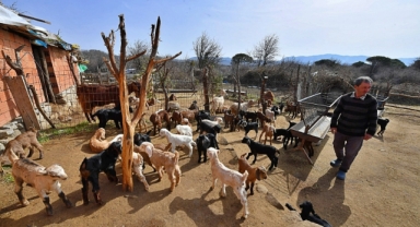 Süt üreticisine bembeyaz bir gelecek