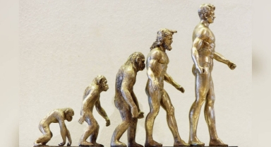 Yaratılış teorisi biyoloji kitabında