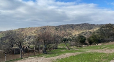 Bakanlıktan onay çıktı: Tarım alanında sondaj aranacak! 