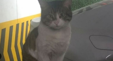 Eros’un katili için karar verildi: Keloğlan’a iki yıl altı ay hapis 