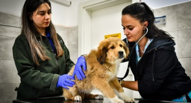 İzBB, HAYTAP'tan tam not alan tek büyükşehir oldu: 