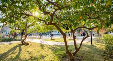 Karşıyaka Belediyesi’nden 5 yıllık ‘yeşil’ hamle!