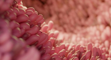 Sindirim sisteminde yeni virüs keşfedildi! Hastalıklara neden olabilir...