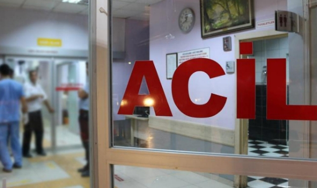 Yaban domuzları caddeye indi: İki kişi yaralandı!